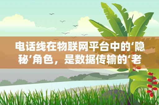 电话线在物联网平台中的‘隐秘’角色，是数据传输的‘老式’桥梁吗？