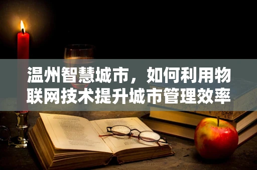 温州智慧城市，如何利用物联网技术提升城市管理效率？