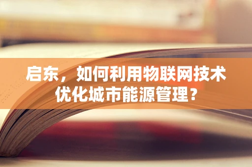 启东，如何利用物联网技术优化城市能源管理？