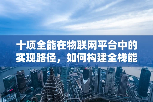 十项全能在物联网平台中的实现路径，如何构建全栈能力？