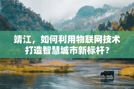 靖江，如何利用物联网技术打造智慧城市新标杆？