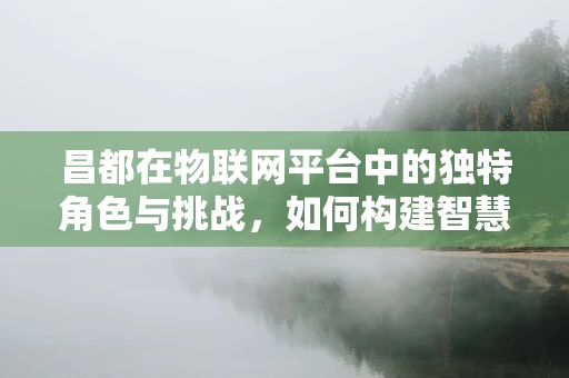 昌都在物联网平台中的独特角色与挑战，如何构建智慧城市的新篇章？