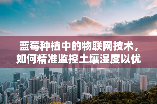 蓝莓种植中的物联网技术，如何精准监控土壤湿度以优化生长环境？