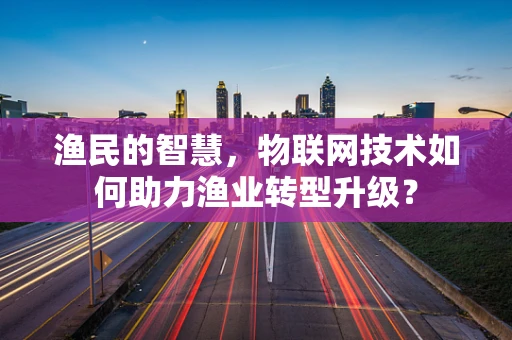 渔民的智慧，物联网技术如何助力渔业转型升级？