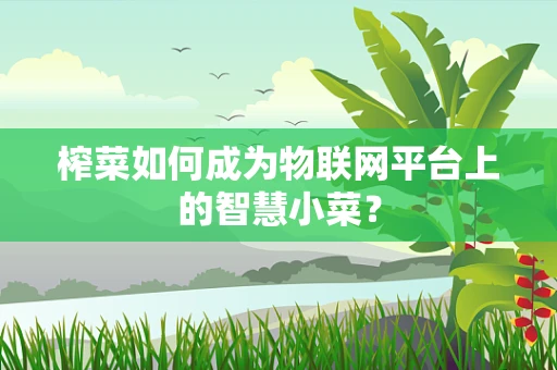 榨菜如何成为物联网平台上的智慧小菜？