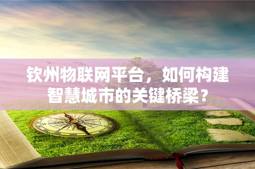 钦州物联网平台，如何构建智慧城市的关键桥梁？