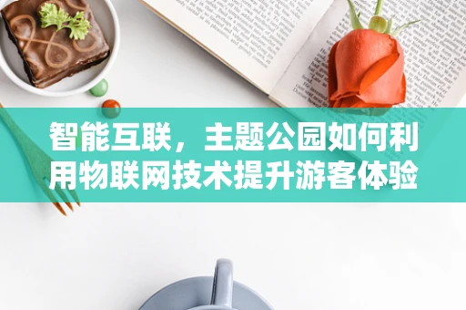 智能互联，主题公园如何利用物联网技术提升游客体验？