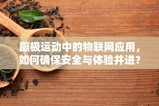 蹦极运动中的物联网应用，如何确保安全与体验并进？