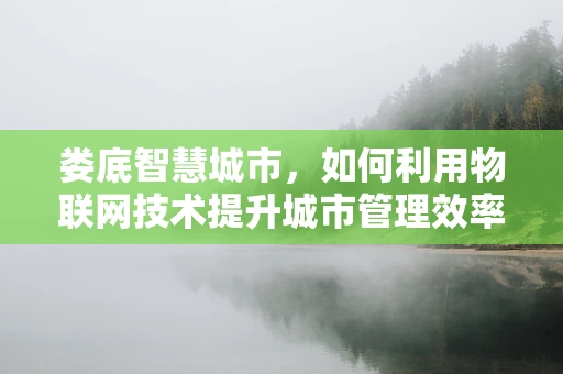 娄底智慧城市，如何利用物联网技术提升城市管理效率？