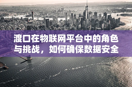 渡口在物联网平台中的角色与挑战，如何确保数据安全、高效地‘过船’？