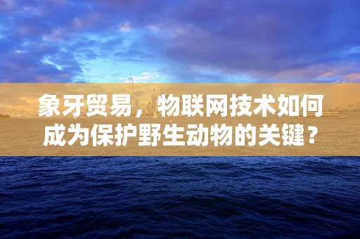 象牙贸易，物联网技术如何成为保护野生动物的关键？