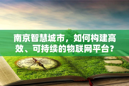 南京智慧城市，如何构建高效、可持续的物联网平台？