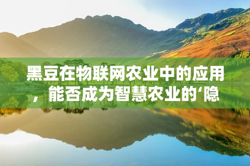 黑豆在物联网农业中的应用，能否成为智慧农业的‘隐形冠军’？