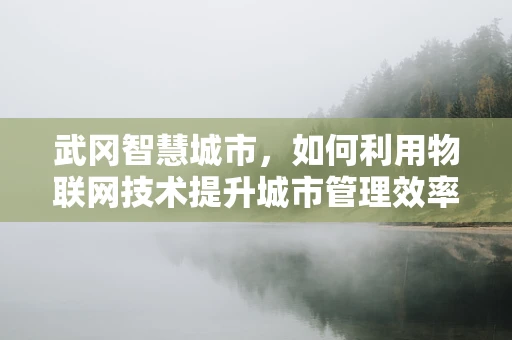 武冈智慧城市，如何利用物联网技术提升城市管理效率？