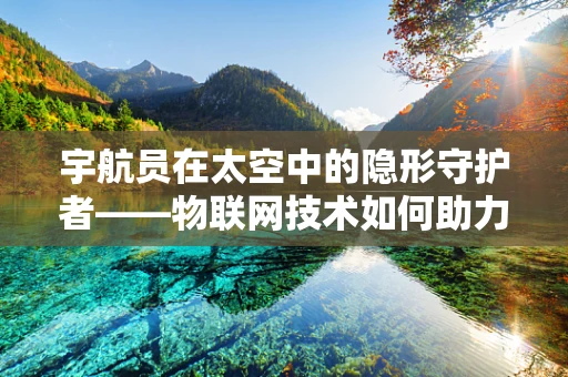 宇航员在太空中的隐形守护者——物联网技术如何助力安全保障？