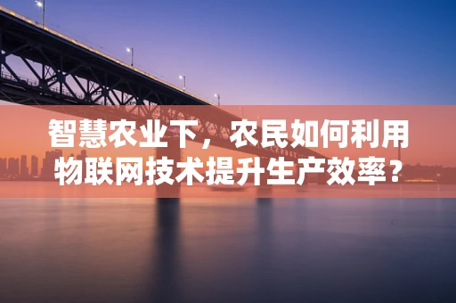 智慧农业下，农民如何利用物联网技术提升生产效率？