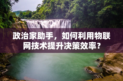 政治家助手，如何利用物联网技术提升决策效率？