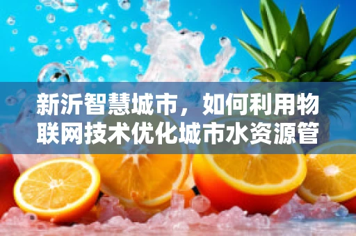 新沂智慧城市，如何利用物联网技术优化城市水资源管理？