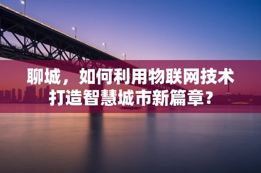 聊城，如何利用物联网技术打造智慧城市新篇章？