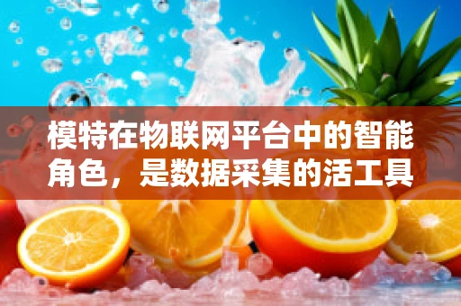 模特在物联网平台中的智能角色，是数据采集的活工具吗？