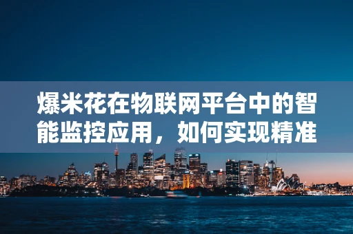 爆米花在物联网平台中的智能监控应用，如何实现精准追踪与高效管理？