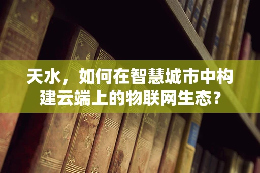 天水，如何在智慧城市中构建云端上的物联网生态？