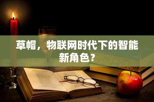 草帽，物联网时代下的智能新角色？