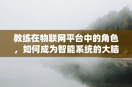 教练在物联网平台中的角色，如何成为智能系统的大脑训练师？