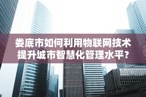 娄底市如何利用物联网技术提升城市智慧化管理水平？