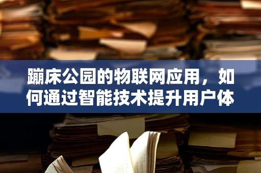 蹦床公园的物联网应用，如何通过智能技术提升用户体验？