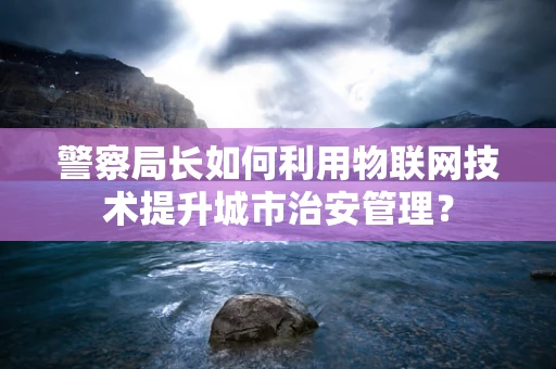 警察局长如何利用物联网技术提升城市治安管理？