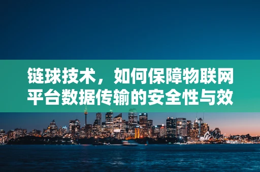 链球技术，如何保障物联网平台数据传输的安全性与效率？