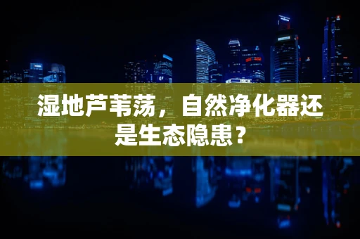 湿地芦苇荡，自然净化器还是生态隐患？