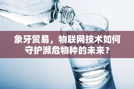 象牙贸易，物联网技术如何守护濒危物种的未来？