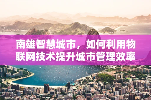 南雄智慧城市，如何利用物联网技术提升城市管理效率？