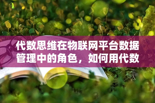 代数思维在物联网平台数据管理中的角色，如何用代数方法优化数据处理？