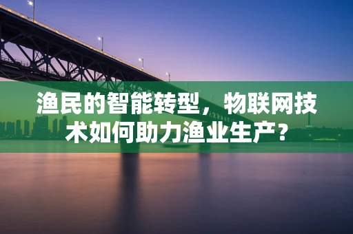 渔民的智能转型，物联网技术如何助力渔业生产？