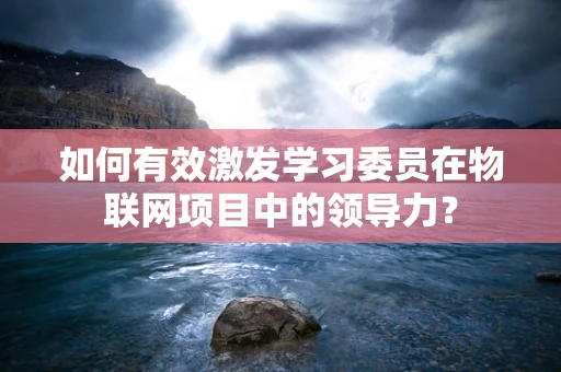 如何有效激发学习委员在物联网项目中的领导力？