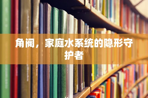 角阀，家庭水系统的隐形守护者