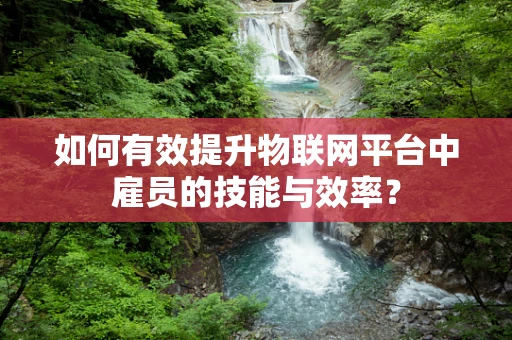 如何有效提升物联网平台中雇员的技能与效率？