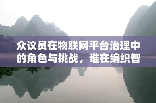 众议员在物联网平台治理中的角色与挑战，谁在编织智能世界的规则？