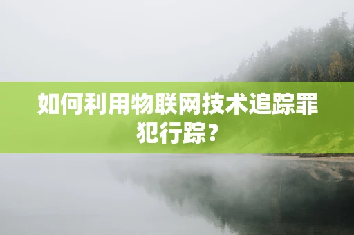 如何利用物联网技术追踪罪犯行踪？