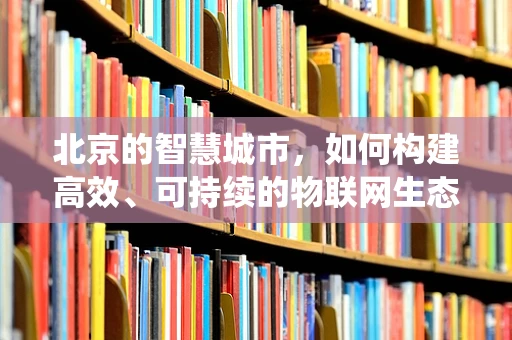 北京的智慧城市，如何构建高效、可持续的物联网生态系统？