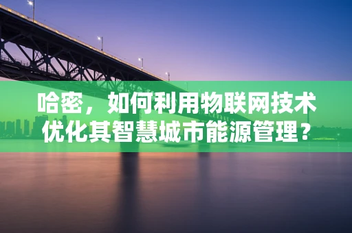 哈密，如何利用物联网技术优化其智慧城市能源管理？