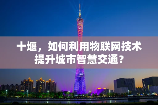 十堰，如何利用物联网技术提升城市智慧交通？