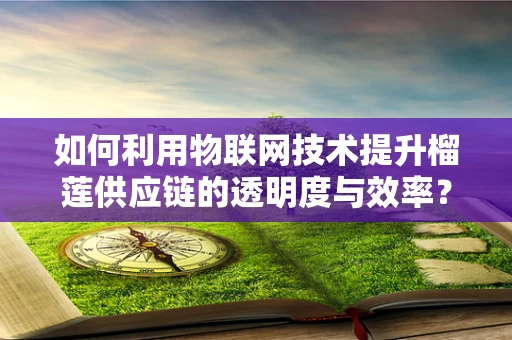 如何利用物联网技术提升榴莲供应链的透明度与效率？