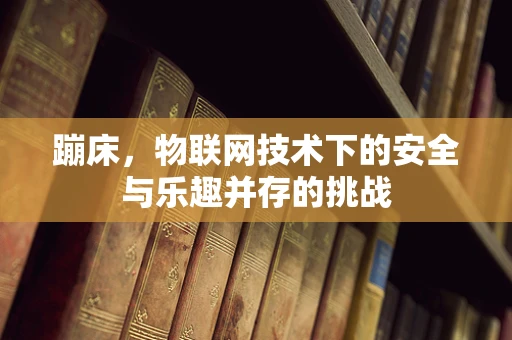 蹦床，物联网技术下的安全与乐趣并存的挑战