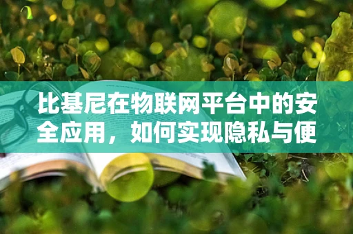 比基尼在物联网平台中的安全应用，如何实现隐私与便捷的平衡？