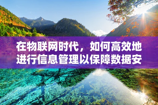 在物联网时代，如何高效地进行信息管理以保障数据安全与隐私？