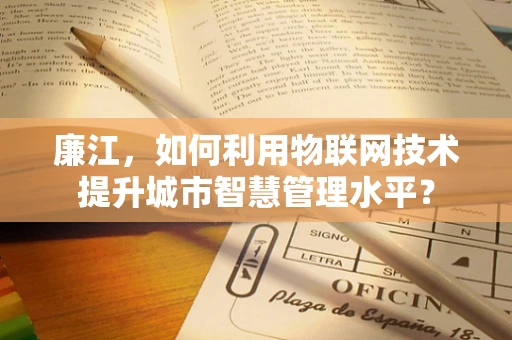 廉江，如何利用物联网技术提升城市智慧管理水平？